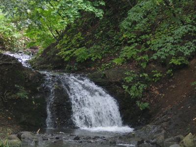 精進河公園