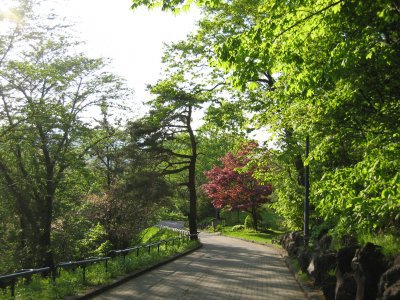 平岸天神山緑地