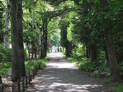 豊平公園