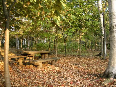 豊平公園