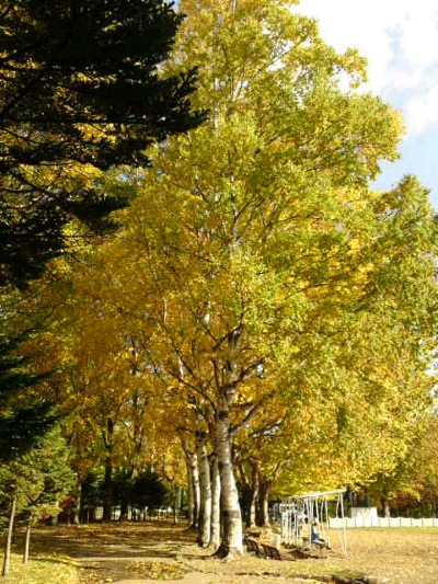 月寒公園
