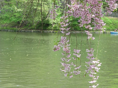 月寒公園