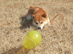 �M�������[