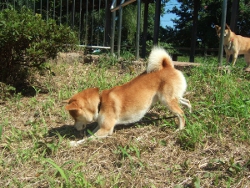 �M�������[